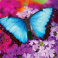 Masterpieces 550 Piece Jigsaw Puzzle For Adults, Family, Or Youth - Iridescence - 18''X24''