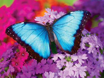 Masterpieces 550 Piece Jigsaw Puzzle For Adults, Family, Or Youth - Iridescence - 18''X24''