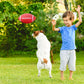 Sosation 20 Pcs Mini Inflatable Football Mini Rugby Playground Small Inflatable Football Toys For Outdoor And Indoor Games Gifts