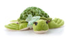 The Petting Zoo Sea Turtle Plush Toy, 12 inches, Green, Model 718015, Soft Polyester Stuffed Animal Gift for Girls