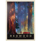 MyPuzzle 1000 Piece Jigsaw Puzzle - Redwood National Park Vintage Poster, Colorful Cardboard for Adults
