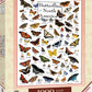 Masterpieces 1000 Piece Jigsaw Puzzle For Adults, Family, Or Youth - Butterflies Of North America - 19.25''X26.75''