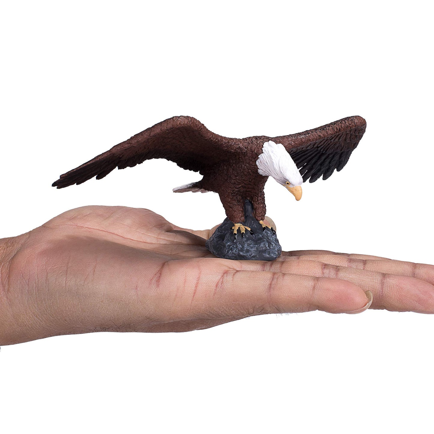 Mojo Bald Eagle Realistic International Wildlife Hand Painted Toy Figurine