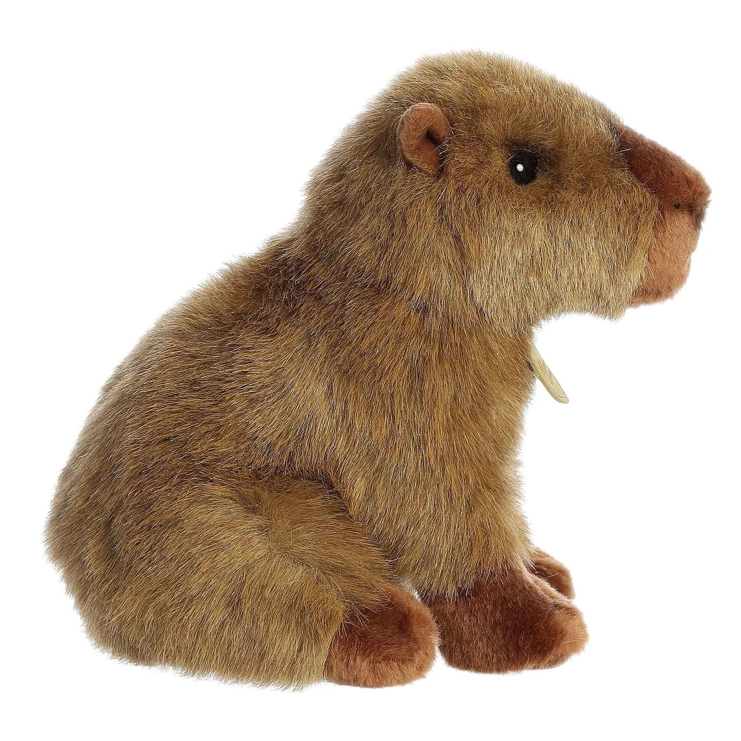 Aurora® Realistic Miyoni® Capybara Stuffed Animal - Lifelike Detail - Cherished Companionship - Brown 9 Inches