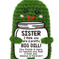 Funny Sister Christmas Gifts 2024, Big Sister, Little Sister - Unique Sister Gifts From Sister Or Brother, Sentimental Sister Bi