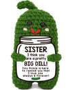 Funny Sister Christmas Gifts 2024, Big Sister, Little Sister - Unique Sister Gifts From Sister Or Brother, Sentimental Sister Bi