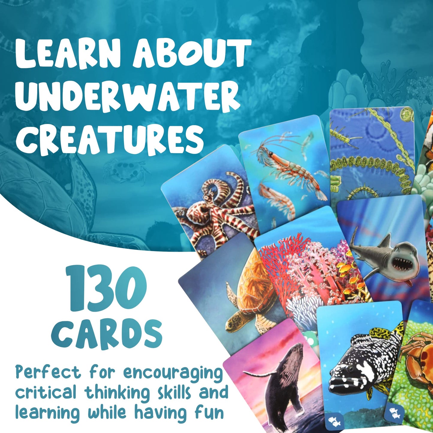 Genius Games Ecosystem: Coral Reef - A Mensa Recommended Family Card Game About Aquatic Animals, Their Habitats & Food Chain | A Light Educational Marine Biology Board Game For Kids And Families