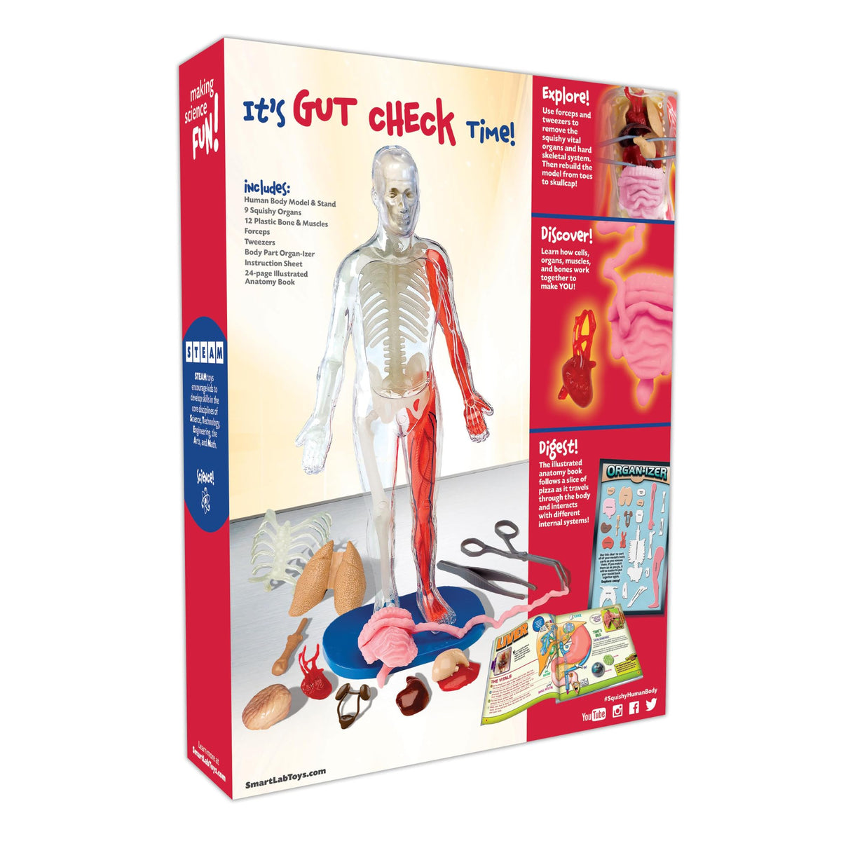 Smartlab Body Smartlab Qpg Lab For Kids, Squishy Human Body, Grade 3-8 – Toytooth