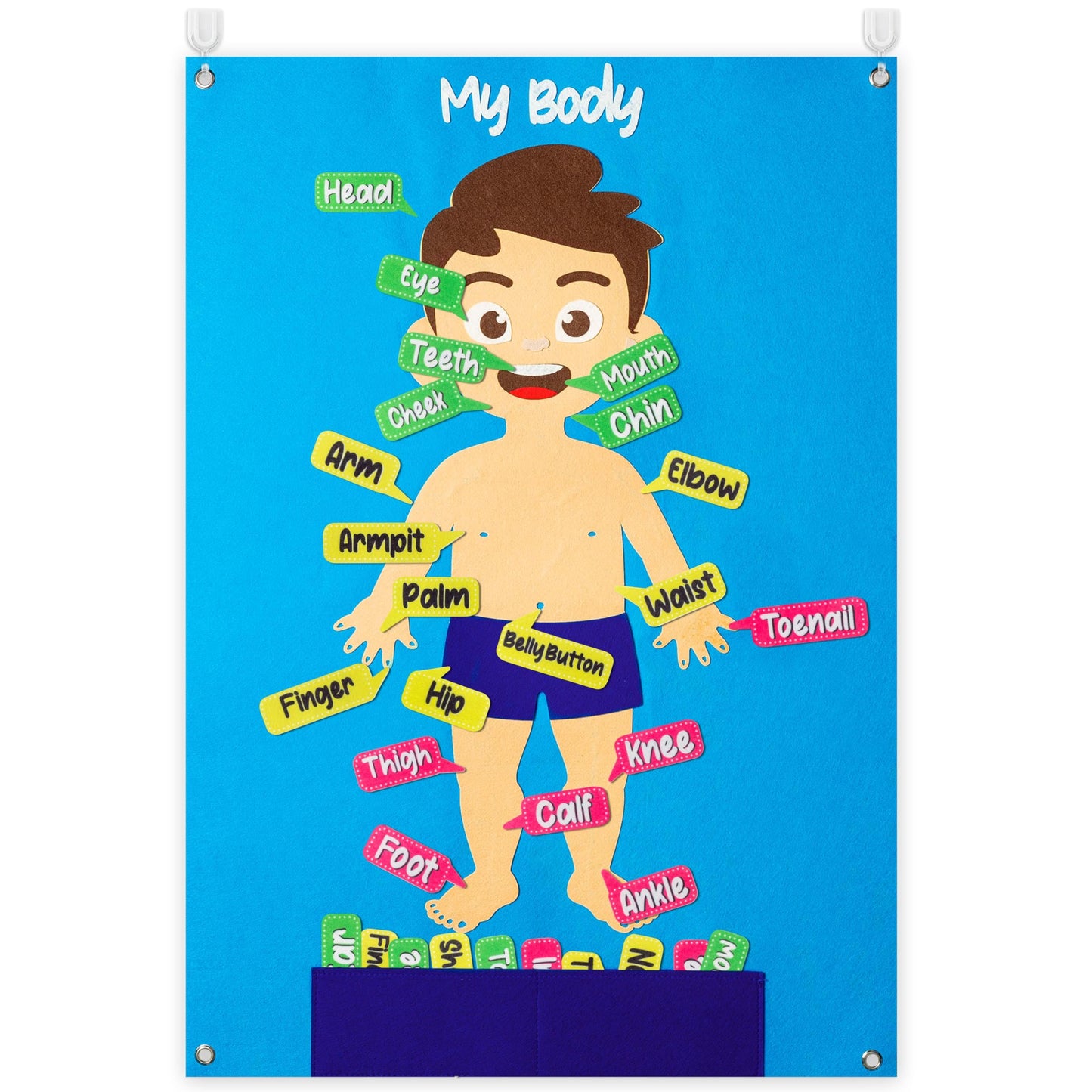 WATINC 35Pcs Body Parts Learning Felt Story Board Set Preschool Human Organ Educational Teaching Storytelling Early Learning Int