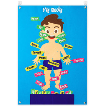 WATINC 35Pcs Body Parts Learning Felt Story Board Set Preschool Human Organ Educational Teaching Storytelling Early Learning Int