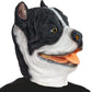 PartyHop Pitbull Dog Mask Animal Latex Full Head Mask Fancy Dress for Halloween Costume Party