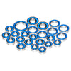 Winter Evening - for Axial Wraith & Spawn Bearings Kit (24 Pcs)