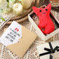 RoundFunny Appendix Surgery Plush Gift Set - 4 Pcs Get Well Cards with Envelope, 5.51"x3.94"x2.36", Fabric & Paper, Beige Box, Model QIR