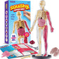 Human Anatomy Squishy Body Model - Science Kits For Kids Ages 4-8 - Stem Toys For 4 5 6 7 8 Year Old Boy Birthday Gift - Learnin
