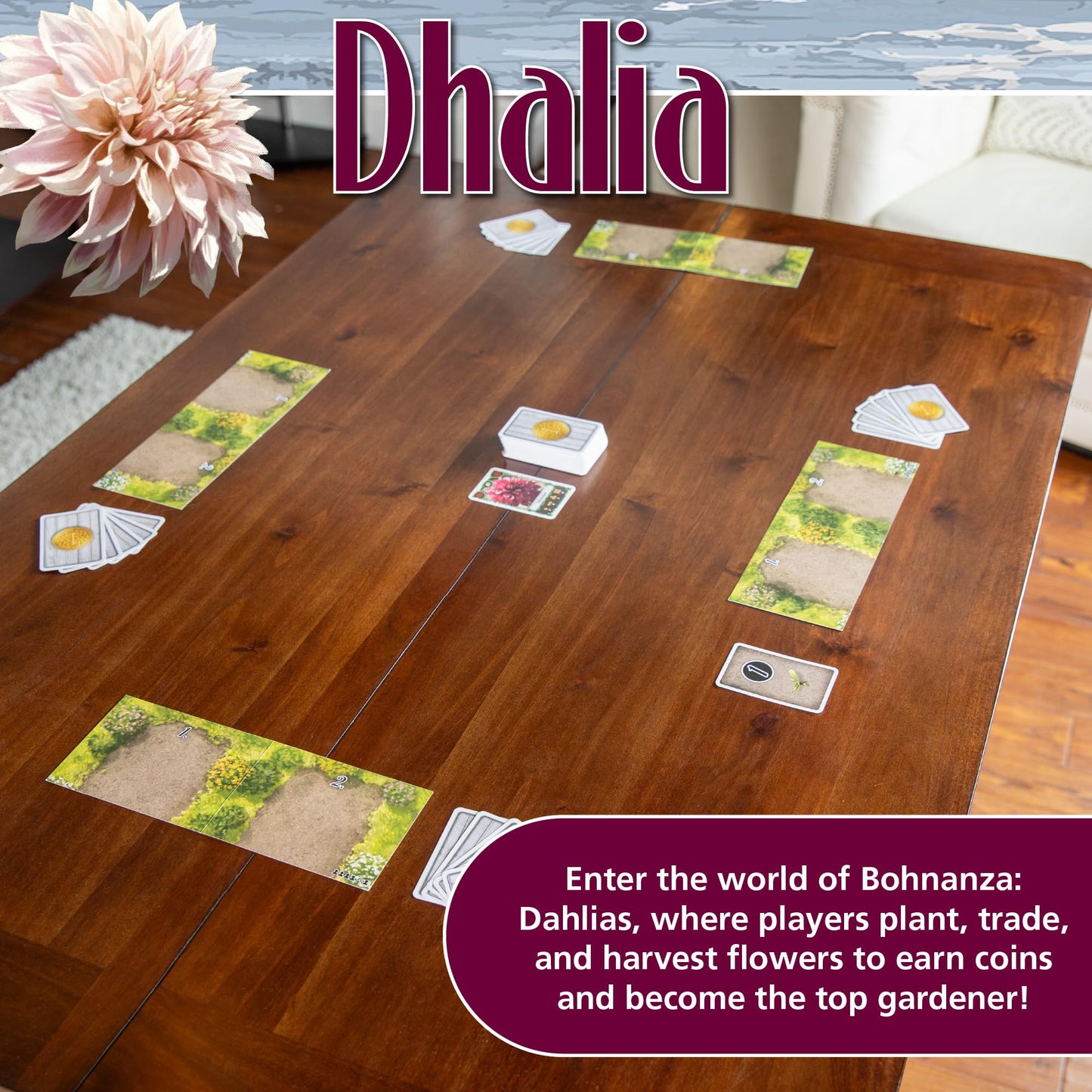 Amigo Games Bohnanza Dahlia - Trade Your Way To Flowers, Money, And Victory! Plant Dahlias, Trade Blooms, And Sell Flowers To Make The Most Money! Perfect For Game Night Ages 10+