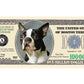 American Art Classics Boston Terrier Million Dollar Bill - Pack Of 5 - Best Gift For Lovers Of Boston Terriers