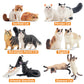EYSCOTA 12PCS Realistic Cat Figurines, Plastic Cat Figure Set, Model X-DMAO02-BUOU01, Perfect for Kids' Birthday and Christmas Gifts