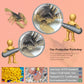 BRETOYIN 11PCS Mini Desert Animals Figurines Set Desert Realistic Desert Animals Figurines Toys Party Decorations Tabletop Decor