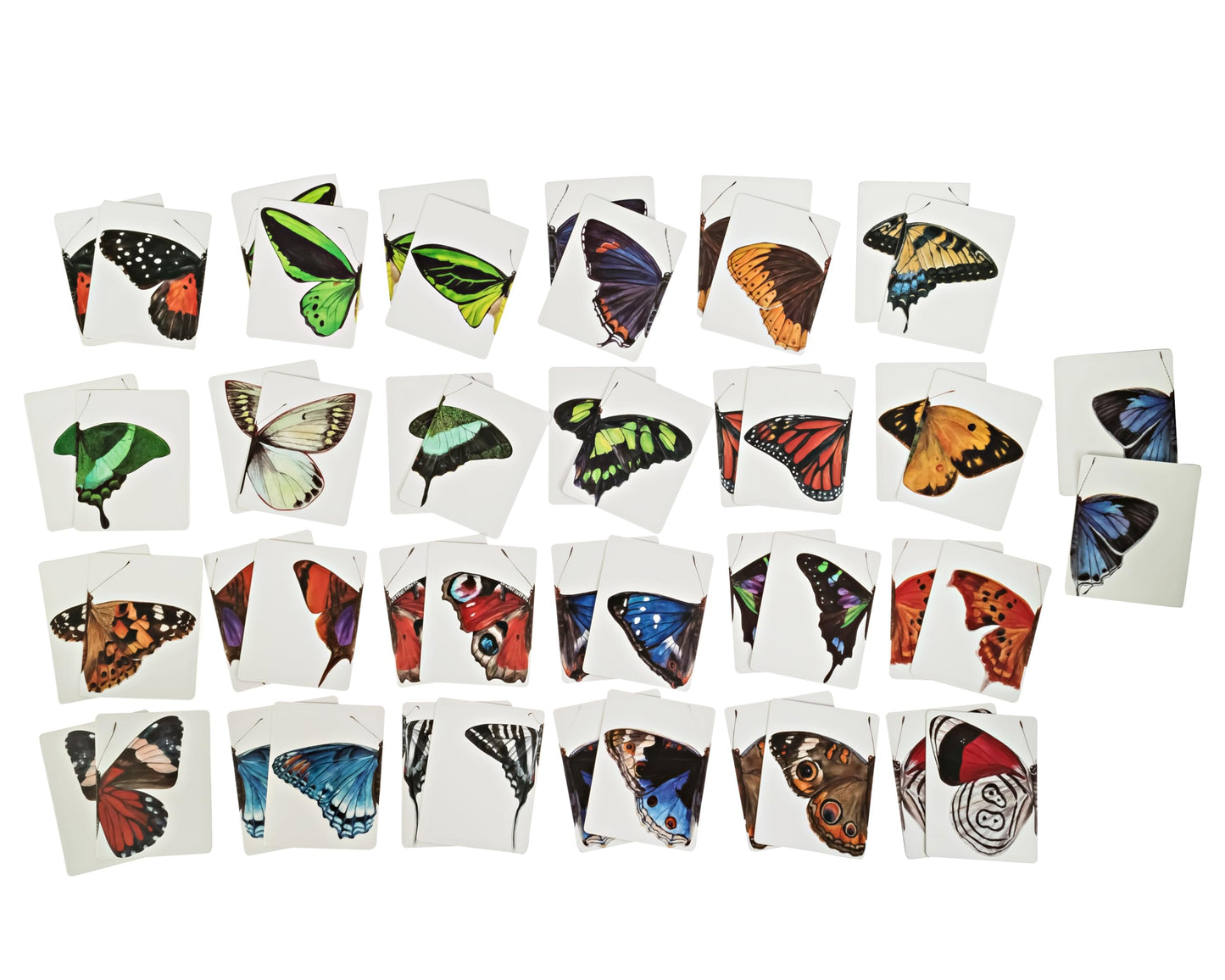 SPARK INNOVATIONS Butterfly Wings Memory Cards Game  Montessori Picture Cards  Educational Kids Game  Preschool Games  Homeschooling Materials  Matching Games  Classroom Must Have