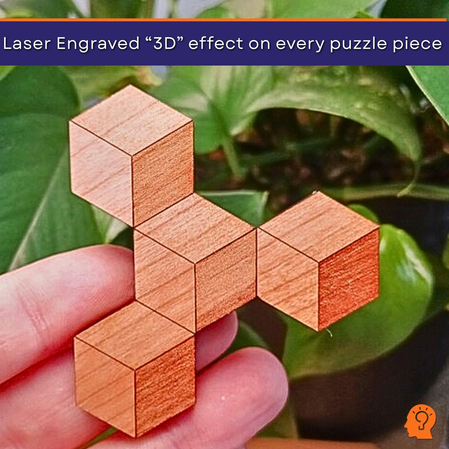 Hexagon 10 Wood Puzzle Brain Teaser, 20 Solutions, USA Made Logic Game