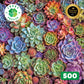 Lucky Puzzles Green Thumb Gala | 500 Piece Jigsaw Puzzle For Adults | Premium Quality | Colorful Artwork Puzzle | Brain Teasing