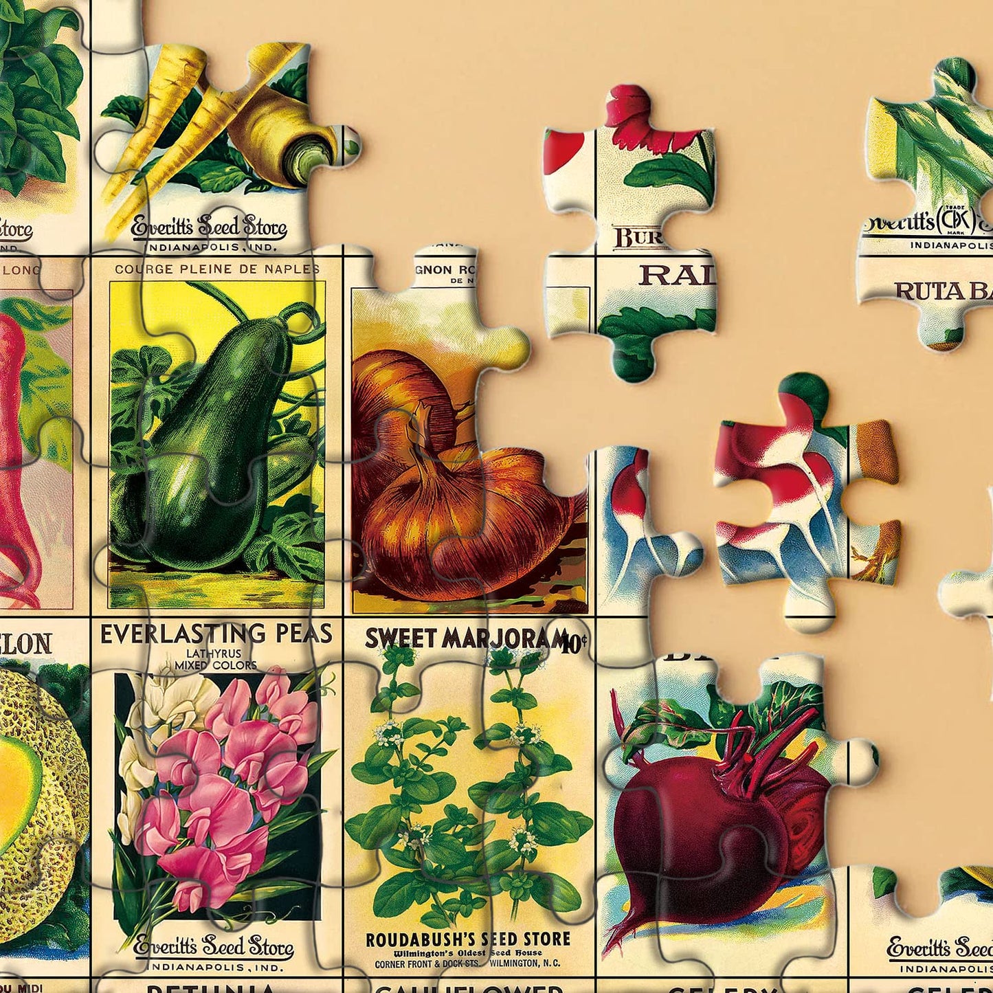 BBOLDIN Vintage Plant Puzzle, 1000 Pieces, Cardboard Jigsaw of Heirloom Seeds, Garden Theme