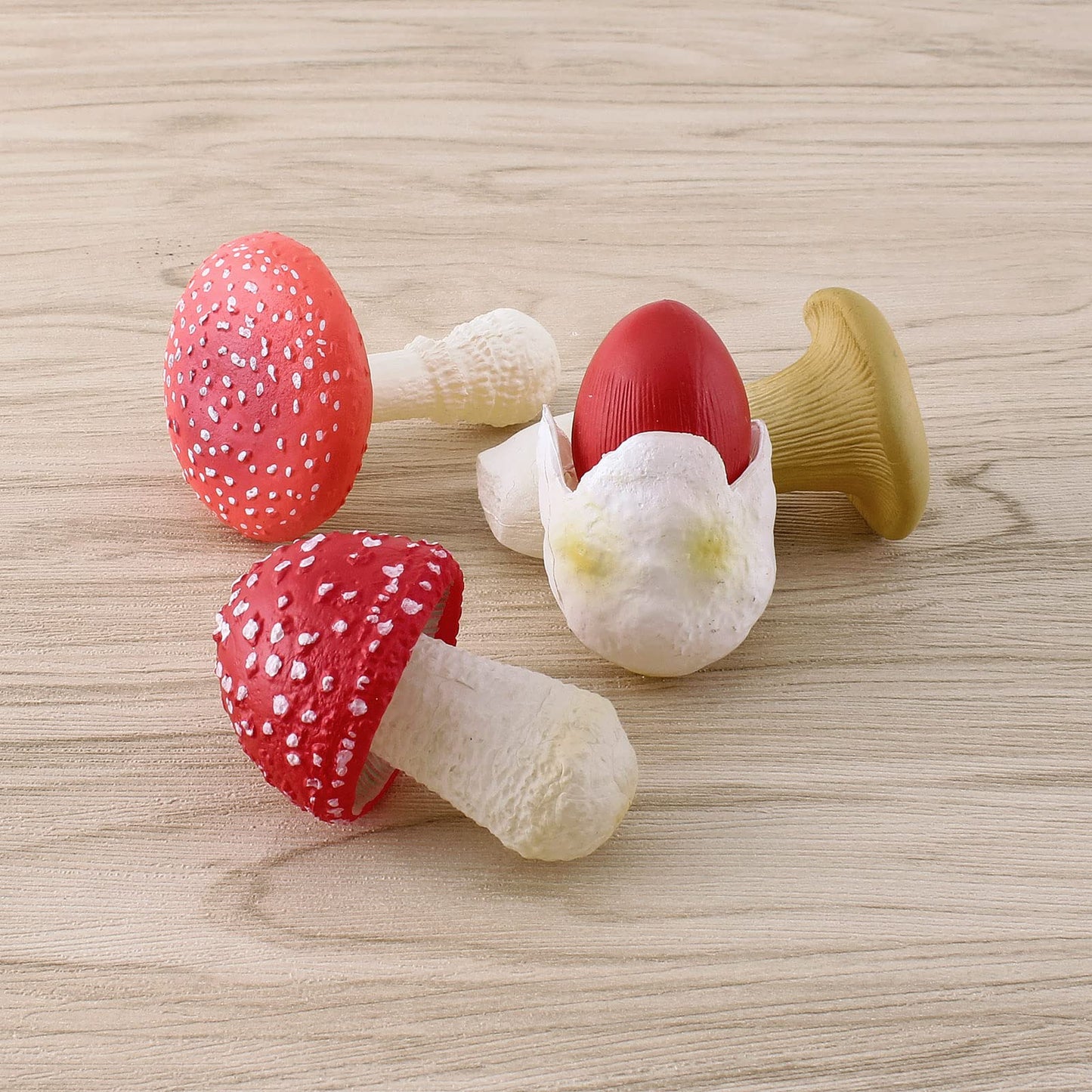 GUFOPONAS 1.5Inch Mushroom Toy Set Fantastic Fungi Figure 4PCS Realistic Life Cycle of Mushroom Decor for Diorama Projects Kids