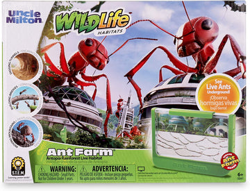 Ant Jungle Terrarium