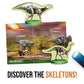 Headu Dinosaurs Under X-Ray, Educational Toys For Boys And Girls Ages 6-10 Years Old, Kids Learning Toys, Teacher Homeschool Supplies, Birthday
