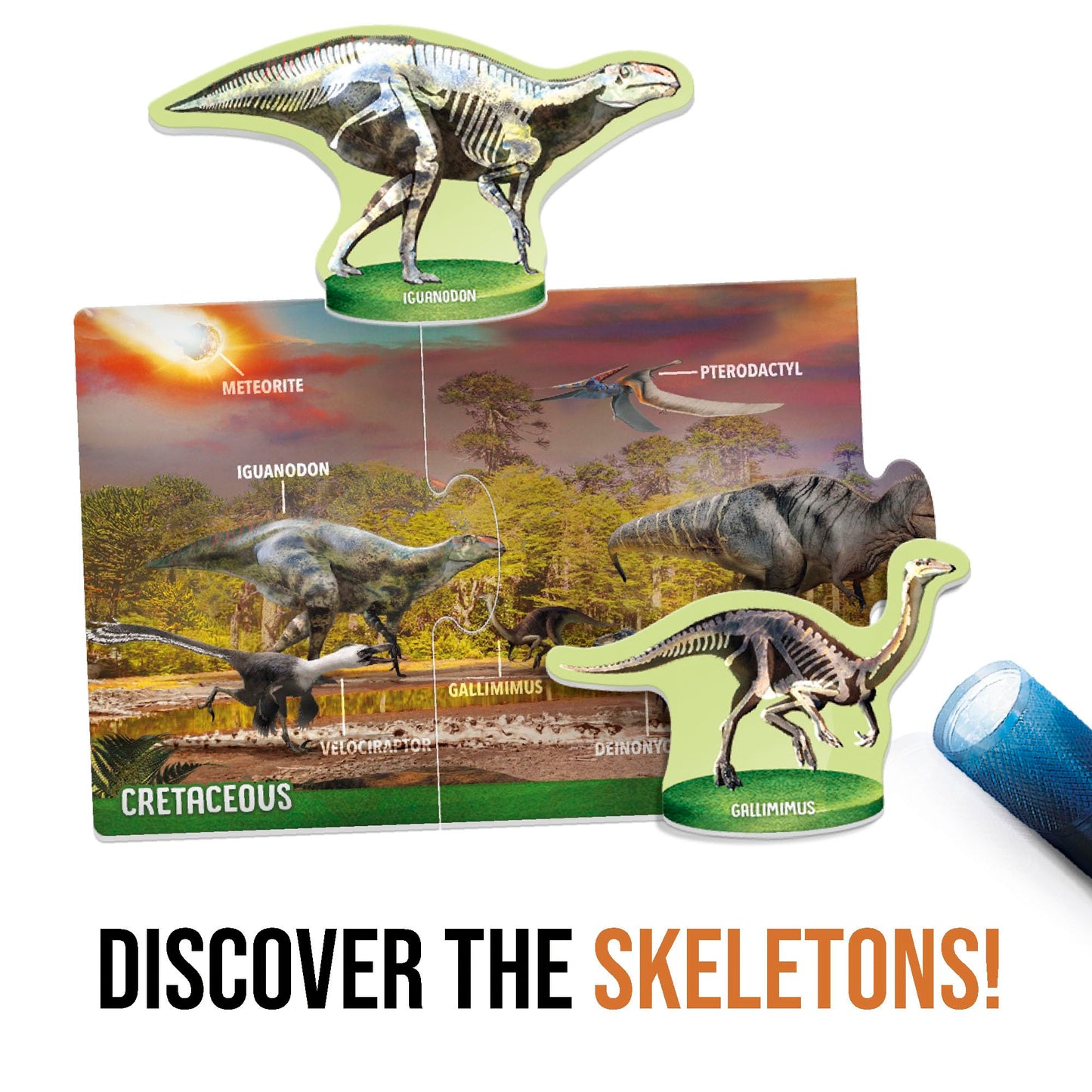 Headu Dinosaurs Under X-Ray, Educational Toys For Boys And Girls Ages 6-10 Years Old, Kids Learning Toys, Teacher Homeschool Supplies, Birthday