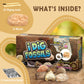 Byncceh Fossil Dig Kit - Educational Stem Science Toys For Kids Ages 6+ - Dig Up 12 Fossils Real & Dinosaur Bones Rocks - Digging Activities Kits - Paleontology, Discovery Gifts For Boys & Girls