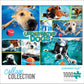 Buffalo Games Underwater Dogs 1000 Piece Jigsaw Puzzle - Multi Color, Paper Material, Model 12603