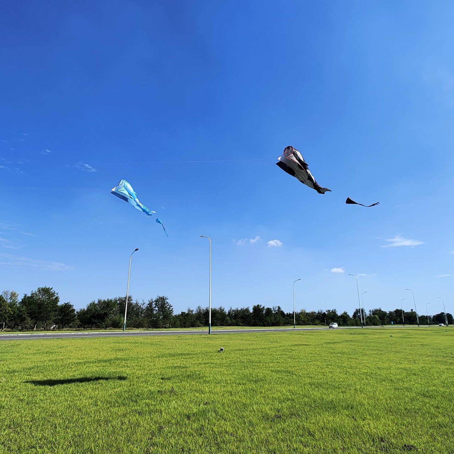 Kaiciuss Orcas Kite For Kids & Adults, Large 3D Single Line Beach Kite, Huge Frameless Soft Kite, Giant Parafoil Whale Breeze Kite, It Comes With 300Ft String Kite Hoop