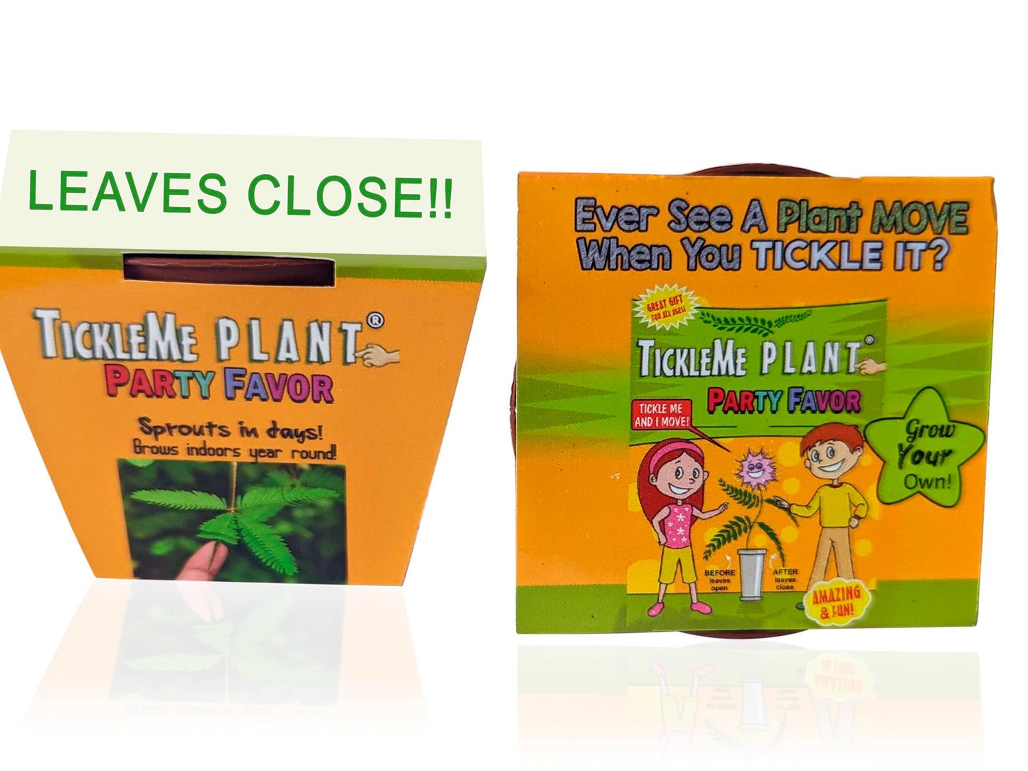 Tickleme Plant Birthday Party Favors (Pack Of 2) Leaves Fold When You Tickle It, Minutes Later The Leaves Re-Open - Fun Interact