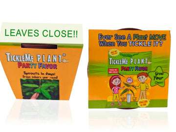 Tickleme Plant Birthday Party Favors (Pack Of 2) Leaves Fold When You Tickle It, Minutes Later The Leaves Re-Open - Fun Interact