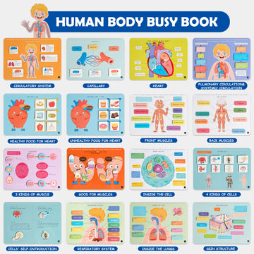 Freebear Montessori Busy Book - Human Body Anatomy for Toddlers, Sensory Learning Activities, Gifts for Kids 4-7 Years, Medium Size