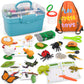 Life Cycle Learning & Education Toys, Montessori Toys Animal Toy Figurines For Frog, Butterfly, Chicken, Ladybug - Educational &