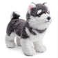 Zhongxin Made Alaskan Dog Stuffed Animal - 12Inch Cute Alaskan Malamute Plush Toy, Lovely Dog Plush Toy Model As Gift Toy Gift Collection For Kids