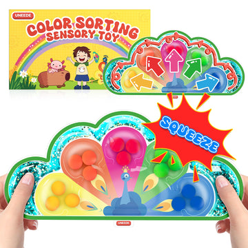 Uneede 2 In 1 Color Sorting Sensory Toys,Fine Motor Skills Fidget Toys,Color Matching Toy Toddler Sensory Toys For Kids With Aut