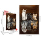 Jigsaw Puzzles 1000 Pieces for Adults - Three Cats Reflection - Wooden Puzzle - Unique Suitable for Teenagers and Adults (75x50c