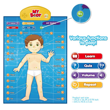 BEST LEARNING i-Poster My Body - Interactive Educational Human Anatomy Talking Game Toy | Learn Body Parts, Organs, Muscles and