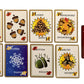 S'Quarrels Card Game - Quick Game For 2-6 Players Of All Ages