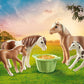Playmobil Icelandic Ponies with Foals