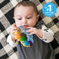 Baby Einstein Teether-pillar Rattle and Chill Teething Toy, Ages 3 months +