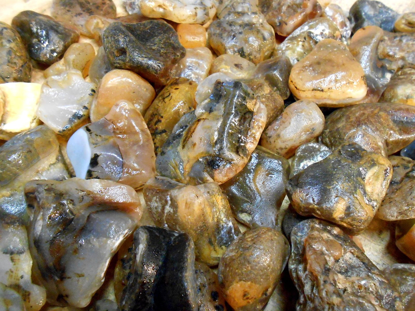 Rock Tumbler Gem Refill Kit Yellowstone Montana Black Dendrite Agate Rough 8 oz