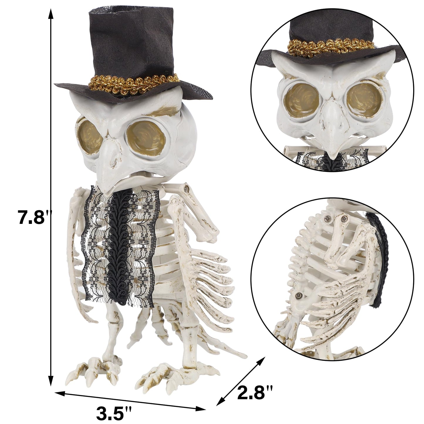 Dr.Dudu 3 Pack Halloween Skeleton Owl Decor, Life Size Animals Skeletons Plastic Skull Decorations Halloween Birds Figurines Dec