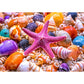 1000 Piece Puzzle For Adults Beach Colorful Shells Jigsaw Puzzles 1000 Pieces With Letters On Back Hard Impossible Difficult Cha