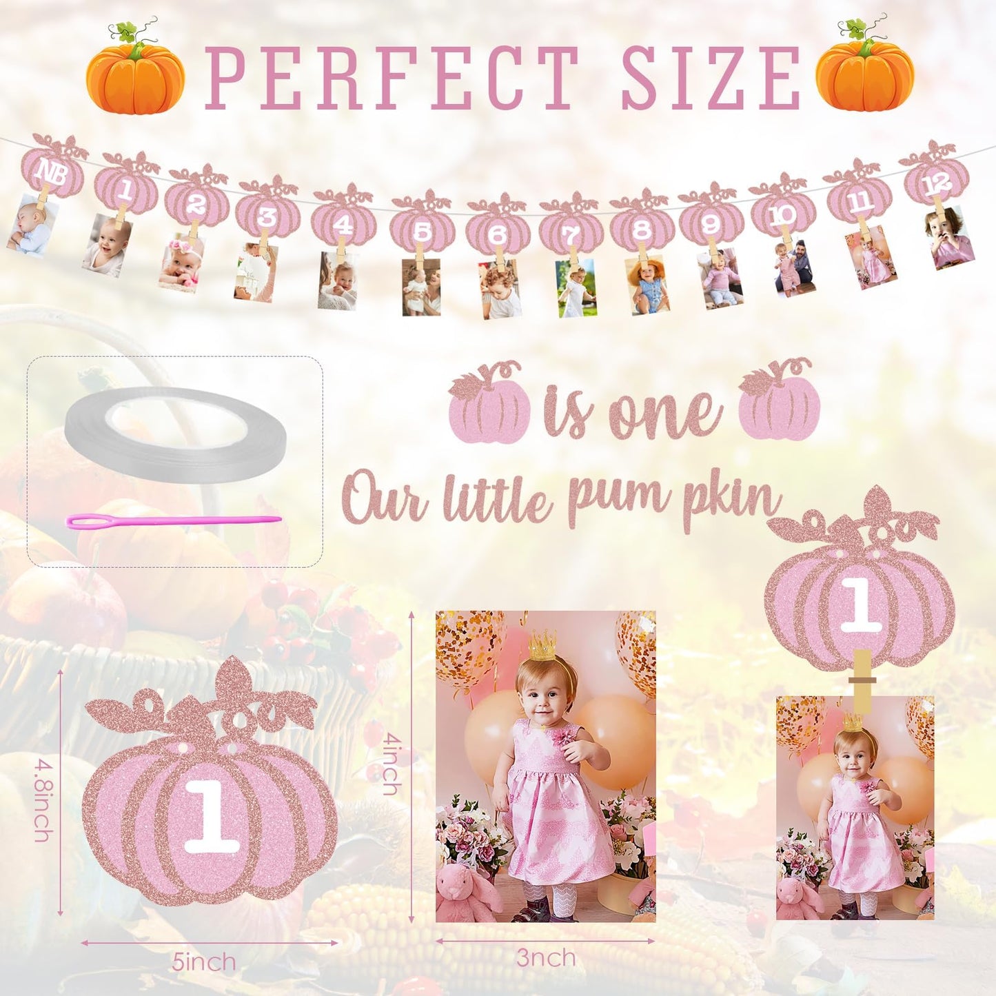Pink Fall Pumpkin 1St Birthday Photo Banner Pumpkin Birthday Photo Banner For Newborn To 12 Months Milestone Photograph Bunting