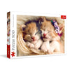Trefl 500 Piece Jigsaw Puzzles  Sleeping Kittens  Animals