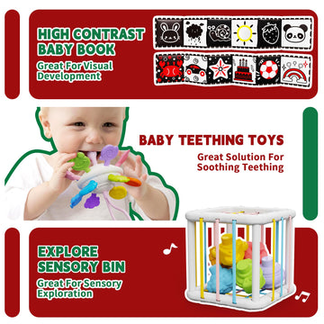 Fllobe Montessori Toys For Babies 6-12 Months, Baby Toys 6-12 Months, Montessori Toys For 1+ Year Old, Infant Toys 6-12 Months,